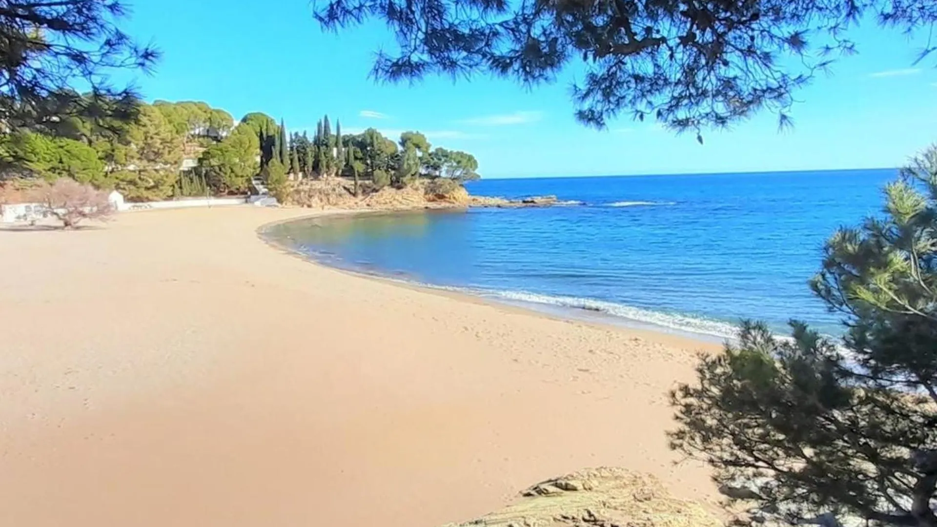 Daire Apartamento Familiar Frente Al Mar Con Jardin, Barbacoa, Aparcamiento Y Mascotas Permitidas - Es-170-70 Llança İspanya